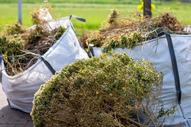 Best Basement Cleanout Services  in Fairplains, NC